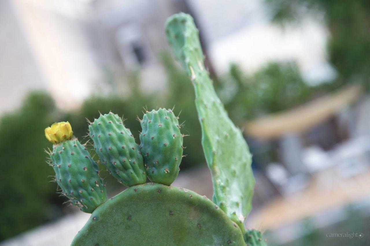ليتشي Il Giardino Delle Margherite المظهر الخارجي الصورة