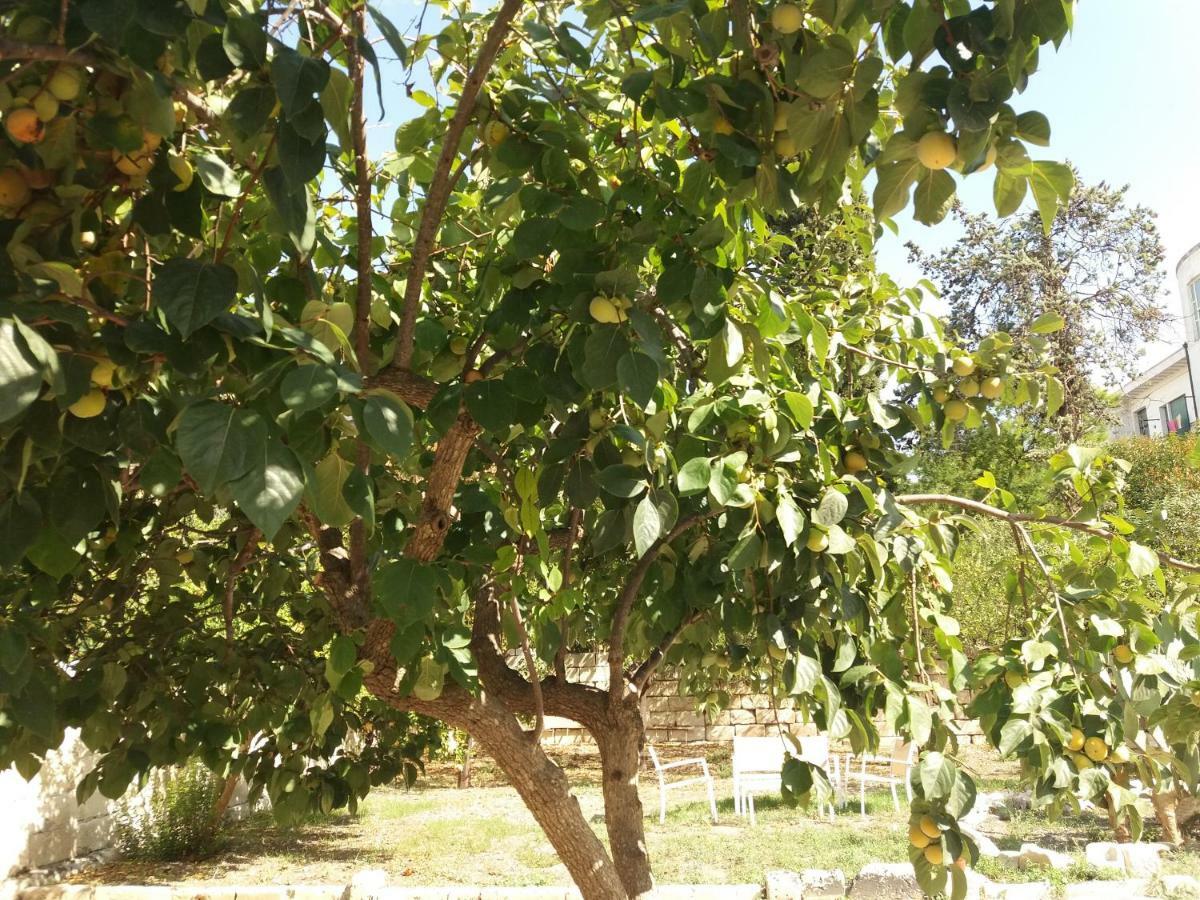 ليتشي Il Giardino Delle Margherite المظهر الخارجي الصورة