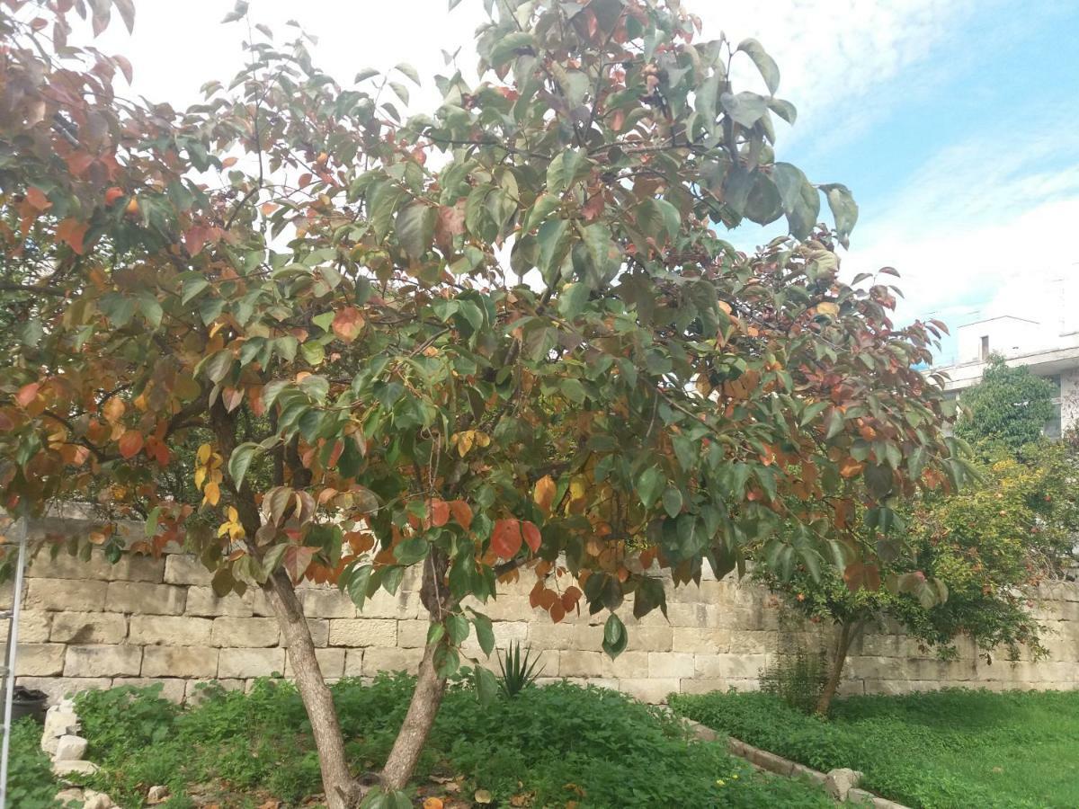 ليتشي Il Giardino Delle Margherite المظهر الخارجي الصورة